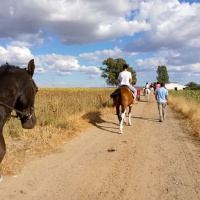 Rutas a caballo. - 15