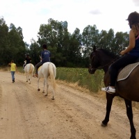 Rutas a caballo. - 18