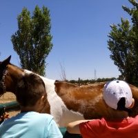 Un da diferente entre caballos. - 3