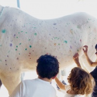 Un da diferente entre caballos. - 10