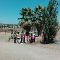 Un da diferente entre caballos. - 11