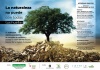 II Jornada Medioambiental