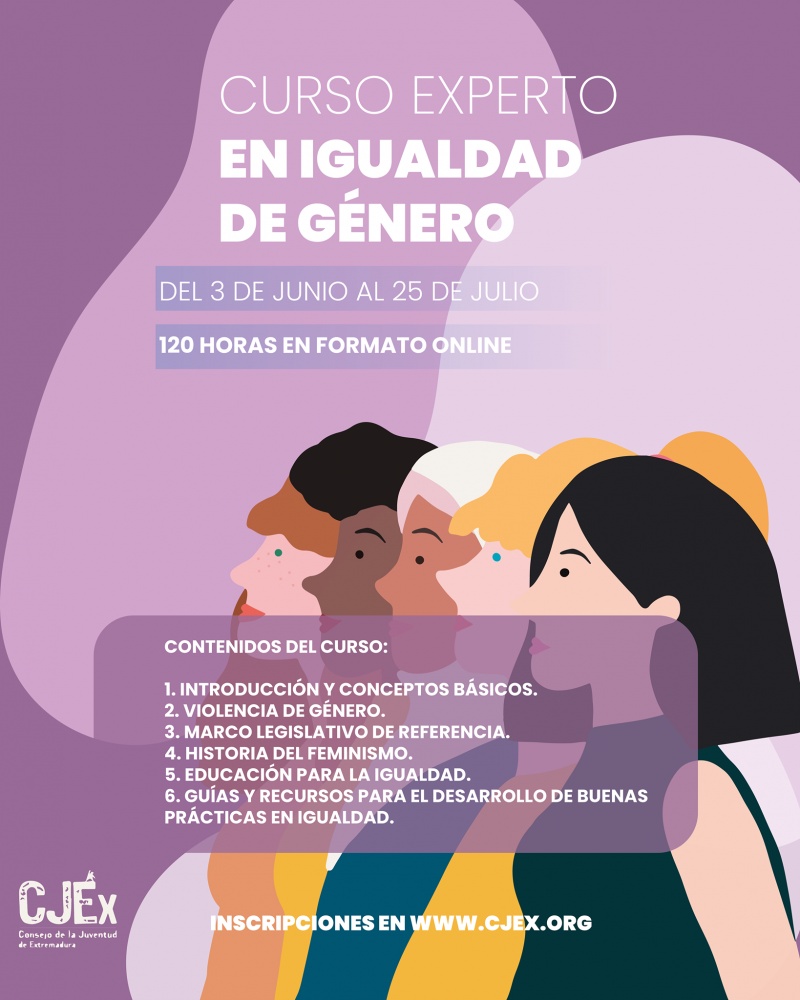 CURSO EXPERTO EN IGUALDAD DE GÉNERO. CONSEJO DE LA JUVENTUD DE ...