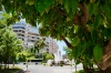Naranjos en Badajoz