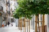 rboles en calles de Badajoz