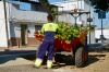 empleo