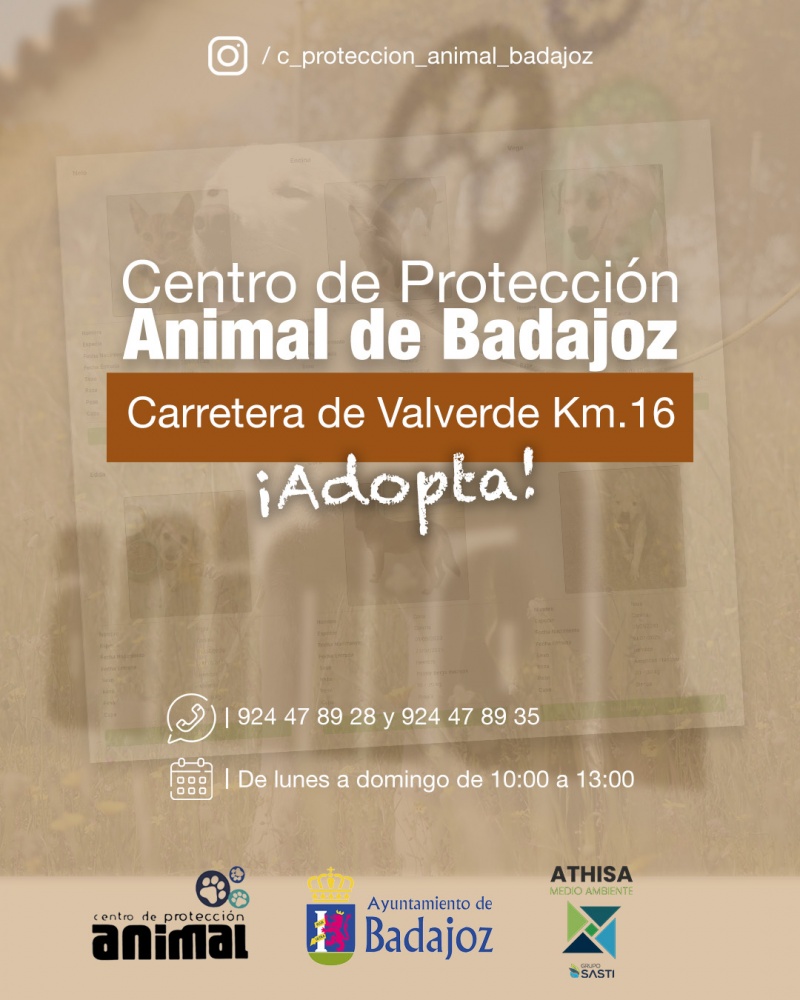CPA Badajoz 2025