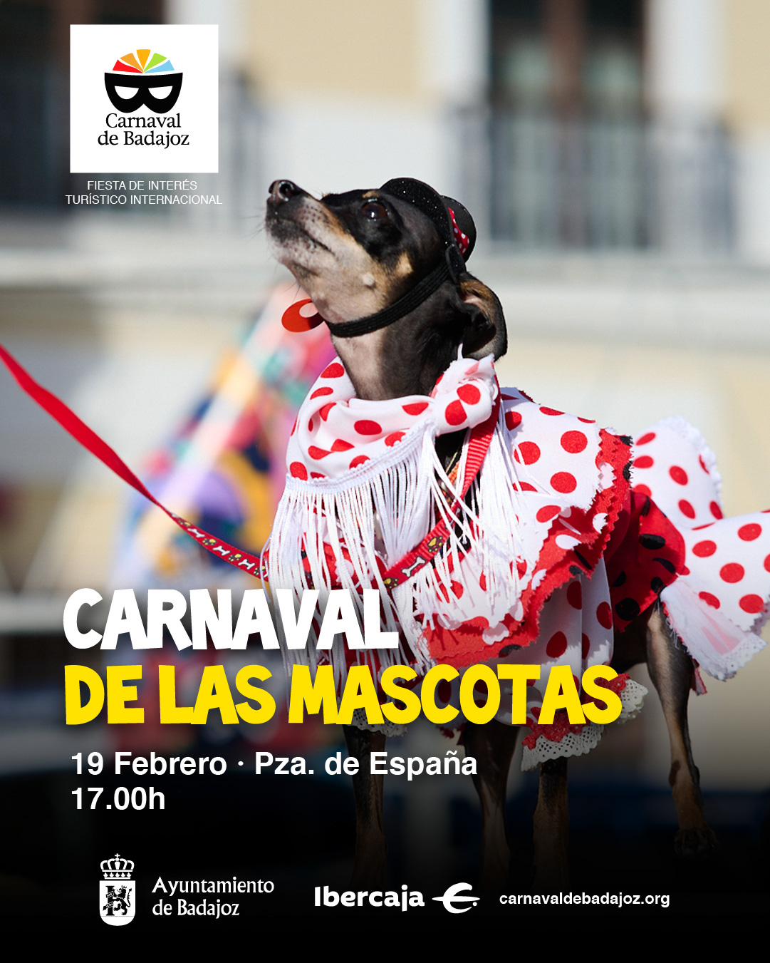 Concurso �Carnaval de las Mascotas�