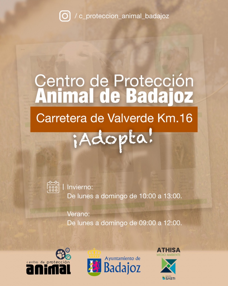 Horarios CPA