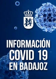 INFORMACIN COVID-19 EN BADAJOZ