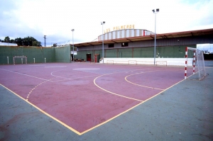 Polideportivo Las Palmeras - Pista Polideportivas