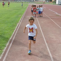 Escuelas Deportivas de Verano 2016