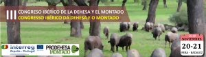 Dehesa y montado