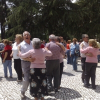 Baile Jornadas Gastronmicas IV