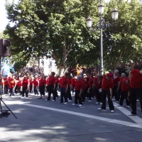 Clausura Gimnasia 2009 - II