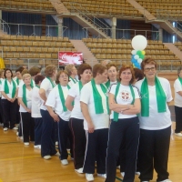 Clausura Gimnasia 2008 - I