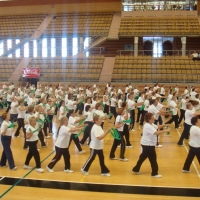 Clausura Gimnasia 2008 - III