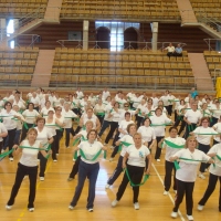 Clausura Gimnasia 2008 - IV