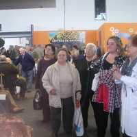 Feria de Mayores 2009 - XX
