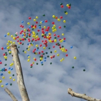 Da Internacional de los Derechos del Nio 2009 (Suelta de Globos al finalizar la lectura de todos los principios)