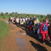 RUTA CAMPO MAIOR