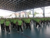 CLAUSURA 2011