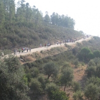 RUTA DOLMENES