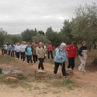 RUTA A OLIVENZA