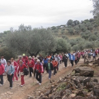 RUTA A OLIVENZA