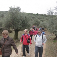 RUTA A OLIVENZA