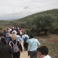 RUTA A OLIVENZA