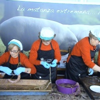 FERIA DE MAYORES