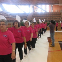 CLAUSURA GIMNASIA