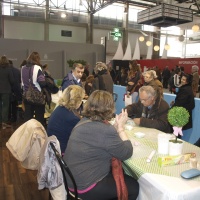 FERIA DE LOS MAYORES