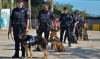 EXHIBICIN POLICIA
