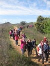 RUTA