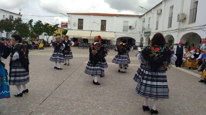 bailes regionale