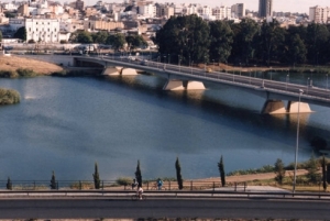 Puente de la Autonomía