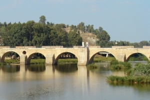 Puente de Palmas