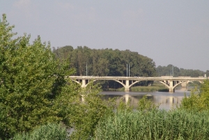 Puente de la Universidad